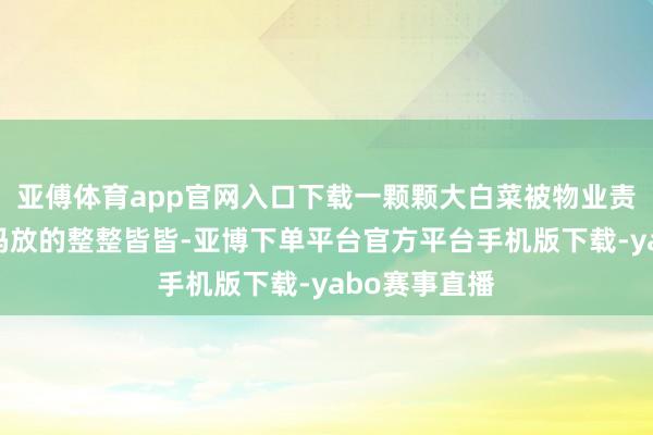 亚傅体育app官网入口下载一颗颗大白菜被物业责任主谈主员码放的整整皆皆-亚博下单平台官方平台手机版下载-yabo赛事直播
