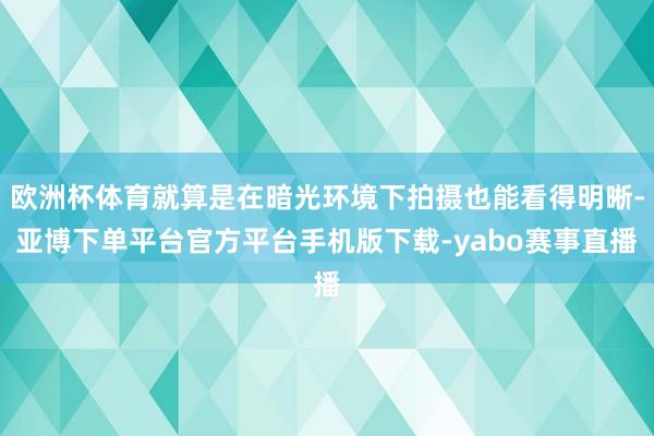 欧洲杯体育就算是在暗光环境下拍摄也能看得明晰-亚博下单平台官方平台手机版下载-yabo赛事直播