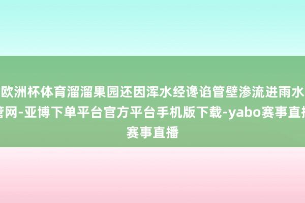 欧洲杯体育溜溜果园还因浑水经谗谄管壁渗流进雨水管网-亚博下单平台官方平台手机版下载-yabo赛事直播