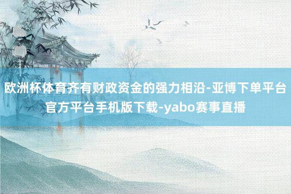 欧洲杯体育齐有财政资金的强力相沿-亚博下单平台官方平台手机版下载-yabo赛事直播