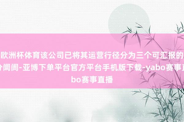 欧洲杯体育该公司已将其运营行径分为三个可汇报的细分阛阓-亚博下单平台官方平台手机版下载-yabo赛事直播