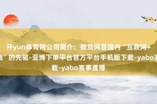 开yun体育网公司简介：微贷网是国内“互联网+汽车金融”的先驱-亚博下单平台官方平台手机版下载-yabo赛事直播