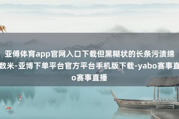亚傅体育app官网入口下载但黑糊状的长条污渍绵延数米-亚博下单平台官方平台手机版下载-yabo赛事直播